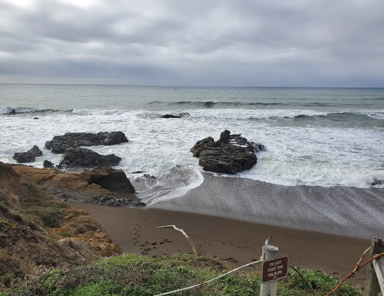 Moonstone Beach, California. A late afternoon in winter, the light low and silvered over the water. Waves arrive in long, unhurried rolls, breaking somewhere out beyond the shore and then drawing in close, hissing across the smooth pebbles as they retreat — a sound like rain falling in reverse, like something being slowly unspooled. Gulls call overhead, sharp and far, their cries scattered by the wind. Cormorants pass low over the surf without a sound. A gust rises, rattling the dry grasses on the bluff, then settles. The pebbles shift and click beneath each receding wave, a thousand small stones turning over and over. Somewhere down the beach, a dog barks once. The ocean breathes in, breathes out, and keeps on breathing, indifferent and steady, into the dimming afternoon.